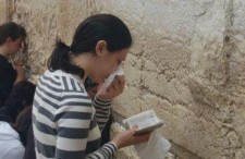 娱乐吃瓜君陈凯歌,娱乐吃瓜界的风云人物