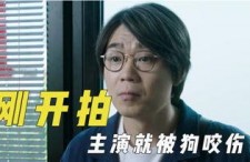 娱乐吃瓜y君,揭秘娱乐圈幕后故事